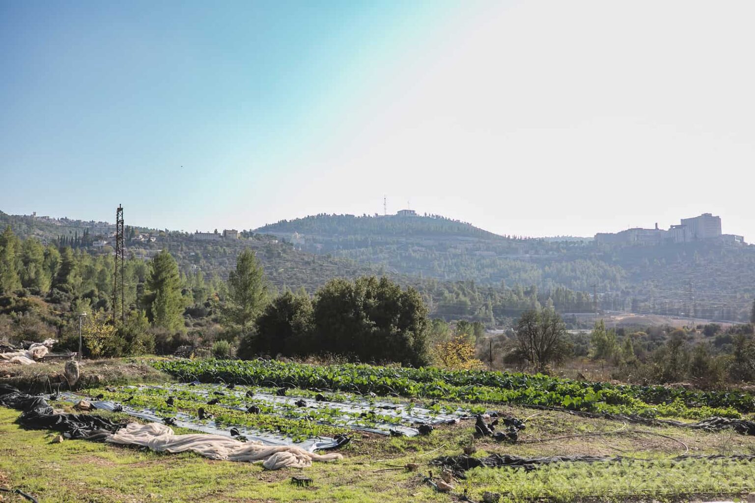 Open Restaurants 2018 Kaima Tomer Foltyn 010